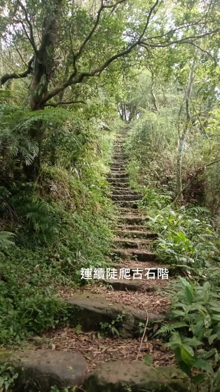 778c7d6d519200627ee06fd05185bc32.png