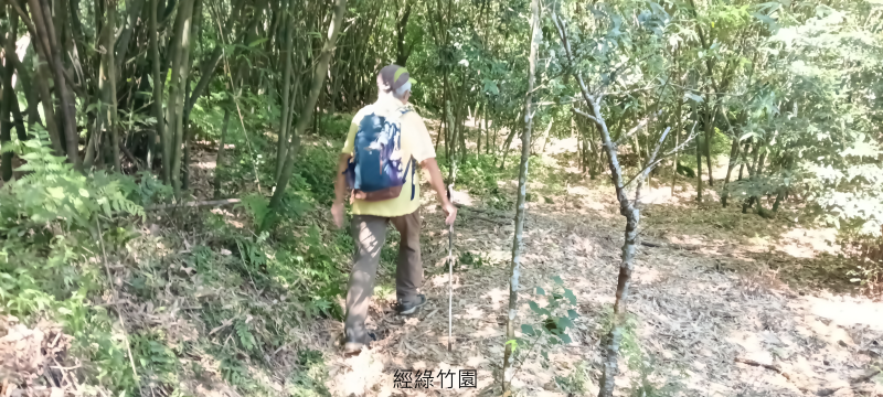 77a6204e5153bf3e7f9cc944ca62f21b.png