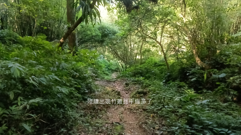 782cbfc92e6ea81e94425e568a734967.png