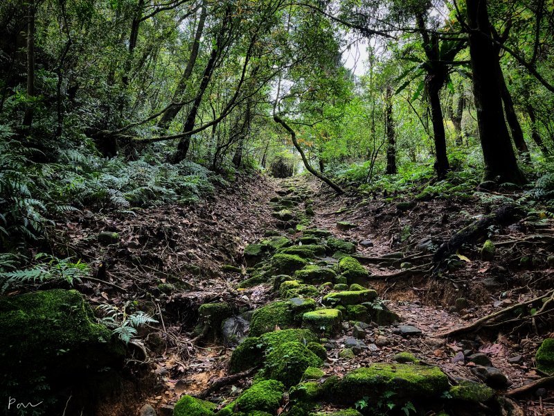 淡蘭中路第四段：威惠廟至灣潭古道登山口(崩山坑線)