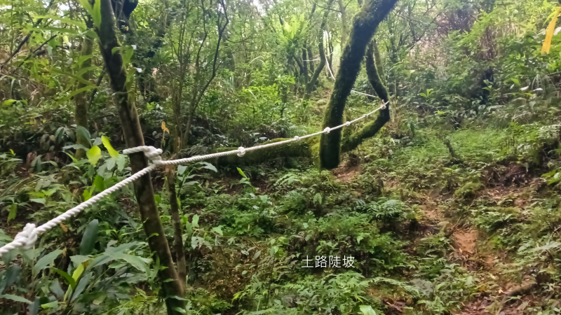 7839f393e70a8d51a898e602faa9d615.png