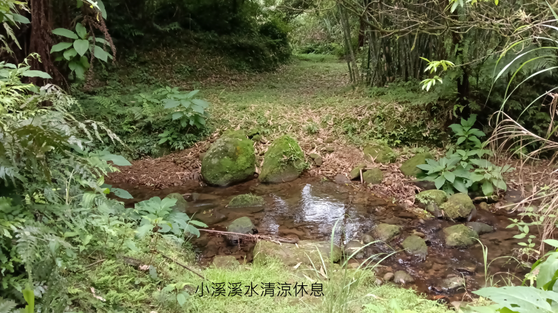 788223735ce7ed6a394e109c036af2cd.png
