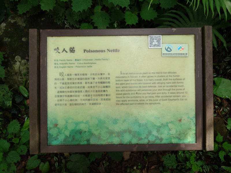 7890067f6ea05313d43989aaad2b44db.jpg