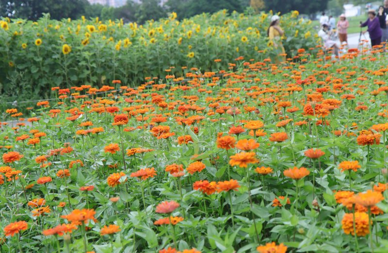 78fcad25f319b85b1a728ed993e45cce.jpg