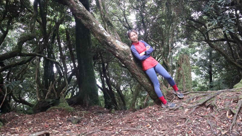 7975afe28c259cba1176987f8e31fab9.jpg