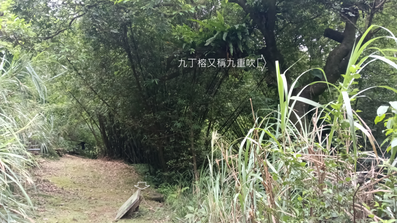79a414008647678970064b7213a6df7a.png