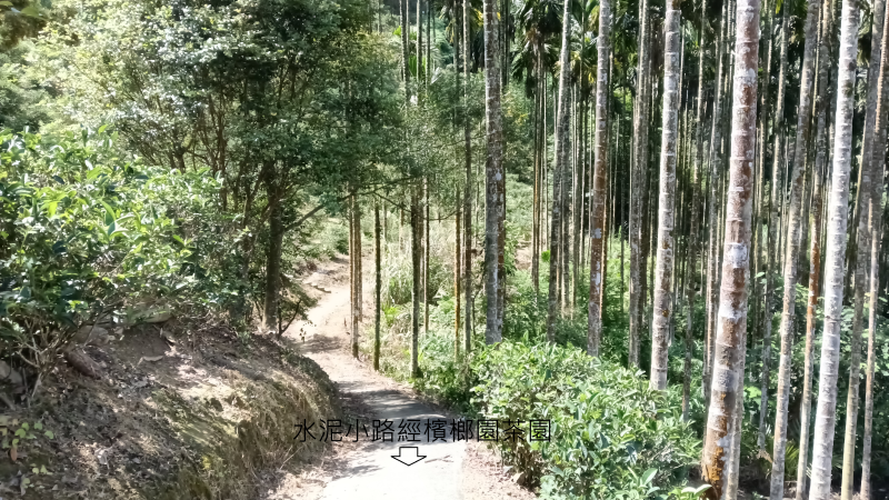 79ff91dff29307bdd08011b81c2957e3.png