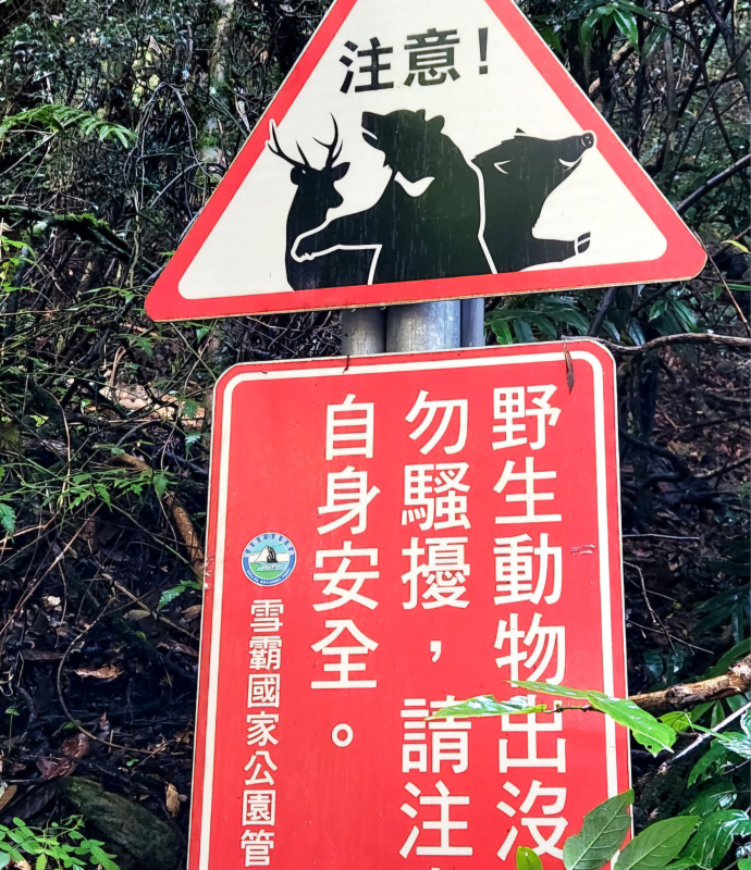 7a0c2394715e5847476c5be98c0df41e.jpg
