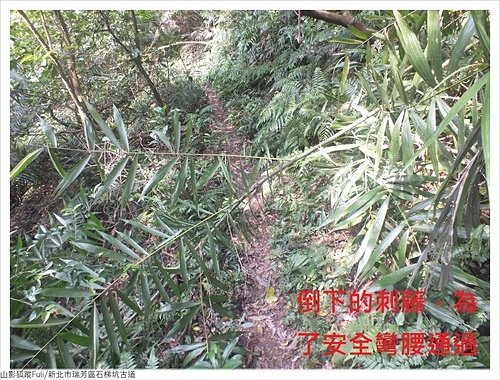 石梯坑古道 (54).JPG - 石梯坑古道