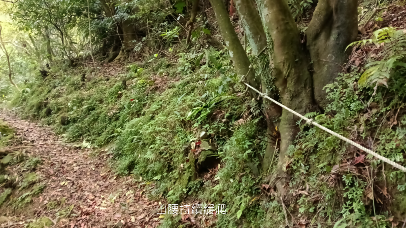 7a56452c0bba96c9efd69d0f48f972ab.png