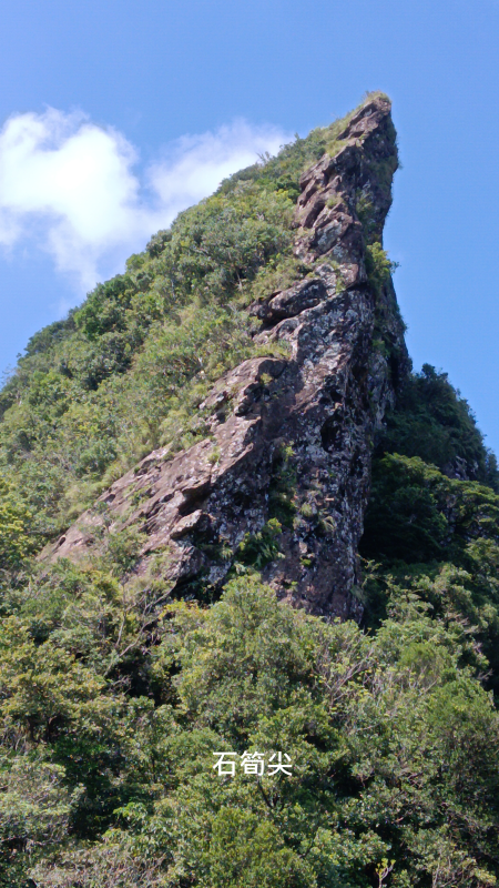 7a6667a04d1ec61de58d2e807d46deb4.png