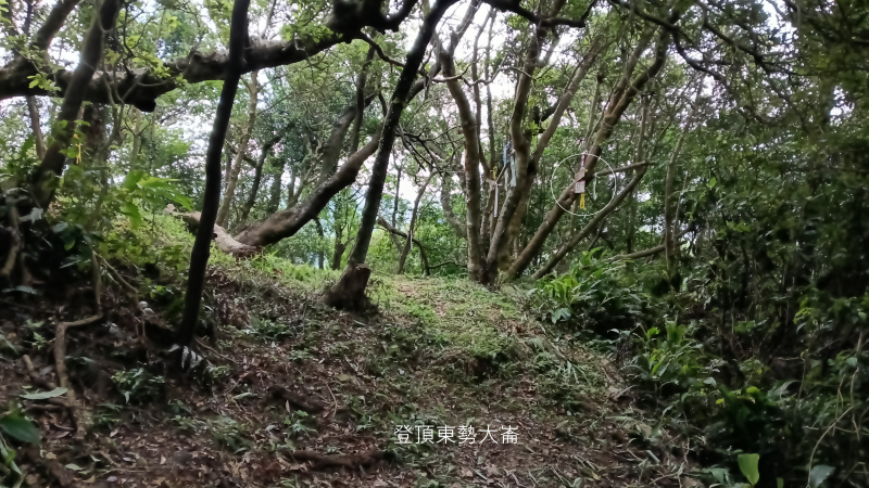 7a6cea21d5313210cfef3acd73d559ee.png