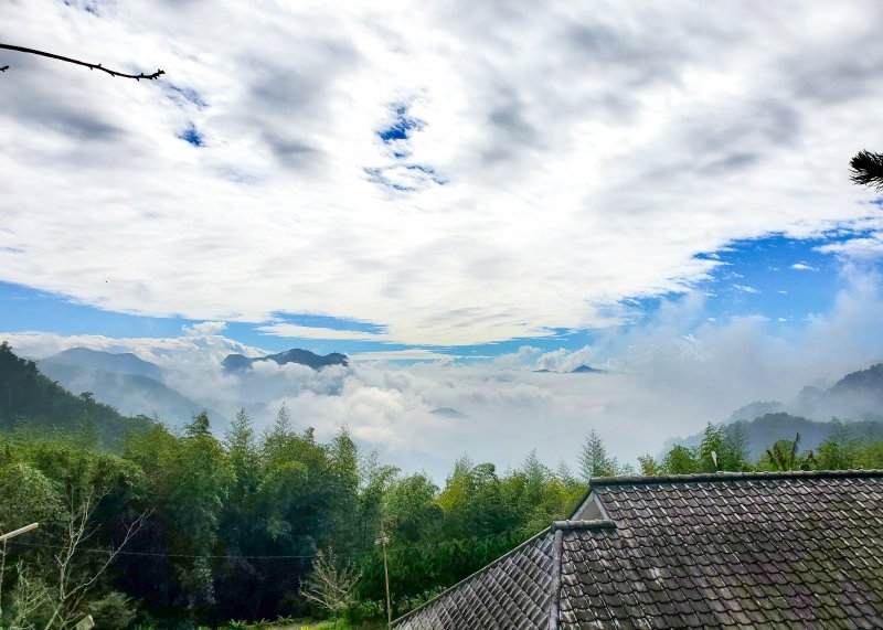 四天王山『隱藏版秘境』&在地人帶路、探索四天王山經典路線~