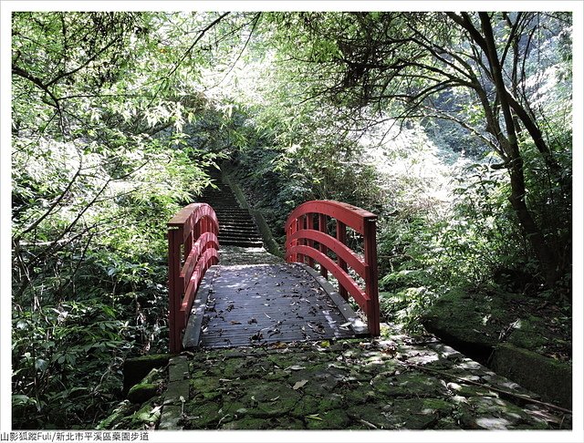 藥園步道 (15).JPG - 藥園步道