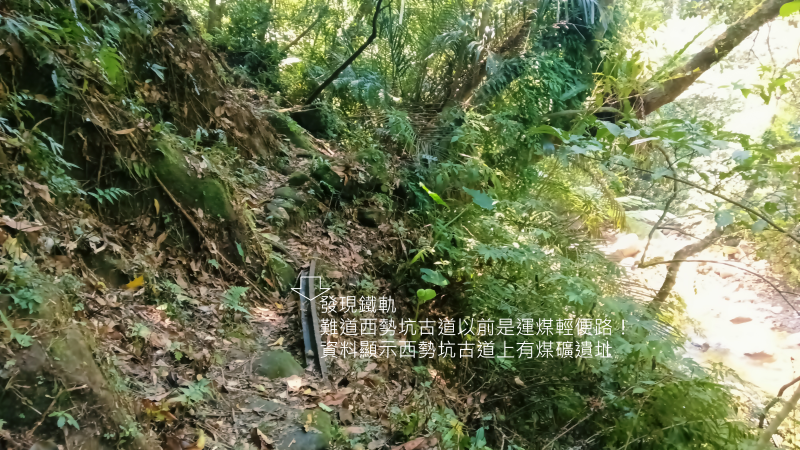 7aaf4c21027f078ac8e3f30f7afc9f74.png