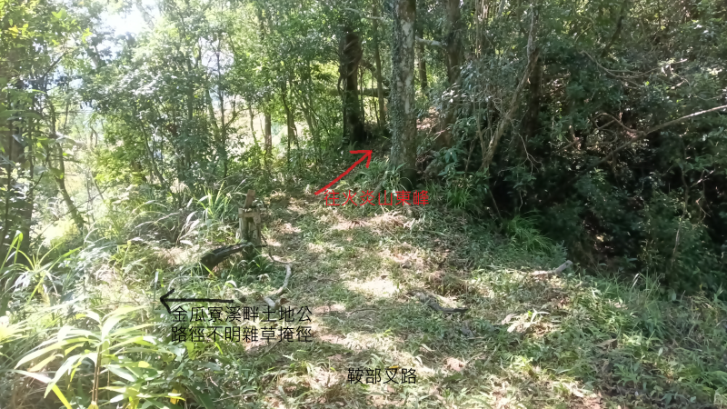 7ae03e96975ffb81510fa3b00195327e.png