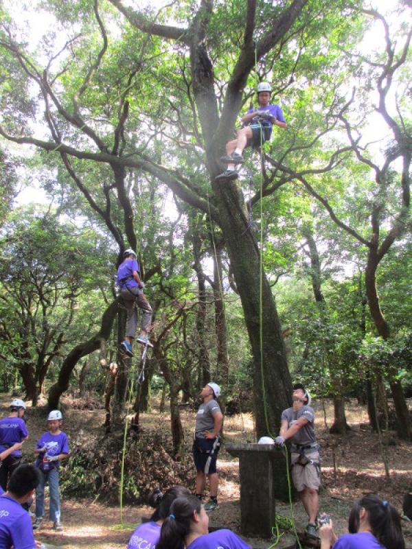 學員在教練指導下練習攀樹技術