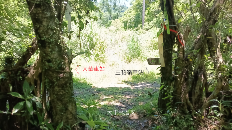 7ae9950f69c077325dc30f54f2fc790c.png