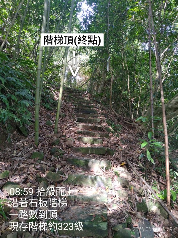 7af220efdeb90fc1bfab1291d2e55363.jpg