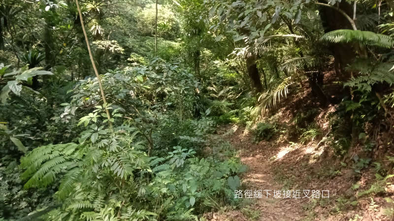 7b12c4417dc70f4bf2caa196110e3b13.png