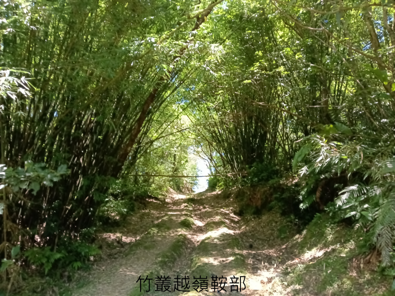 7b2c7808d9780636b9ab8fd99f15d63f.png