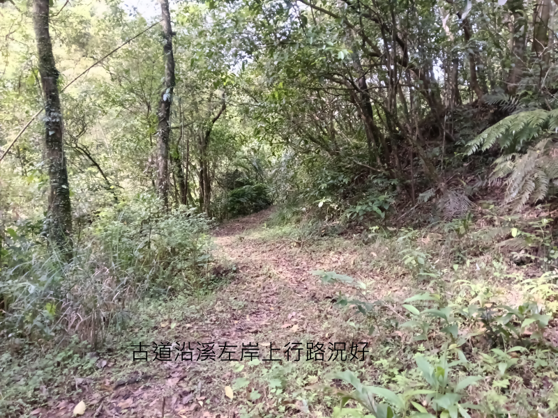 7b30cf3117b146e5ef995ed7030e22a1.png