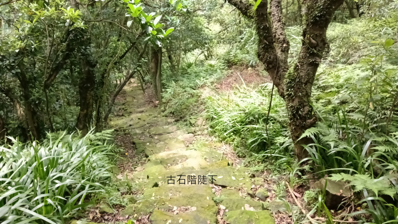 7b3d4fe2285427a352305ea0301013d4.png