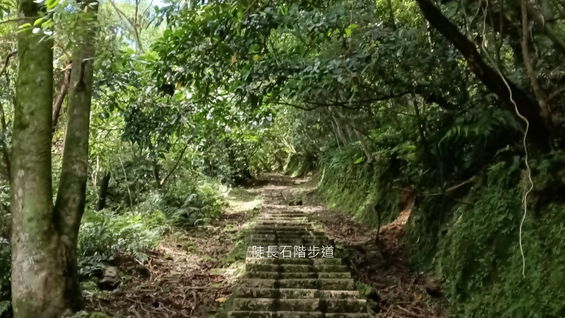 7b6c67bdb155ae07295a0d0ae2986578.png