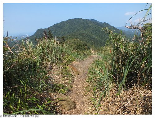 頂子寮山 (3).JPG - 頂子寮山