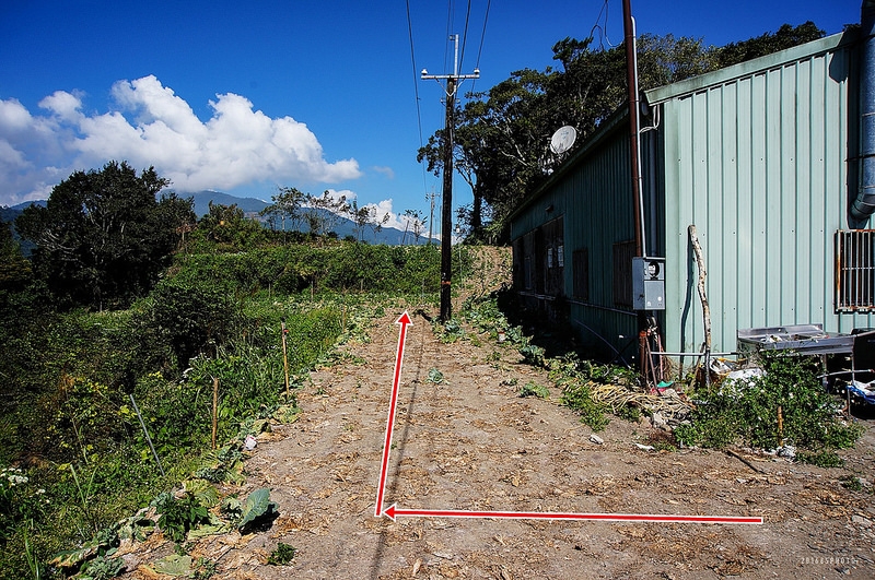 巴蘭山路徑