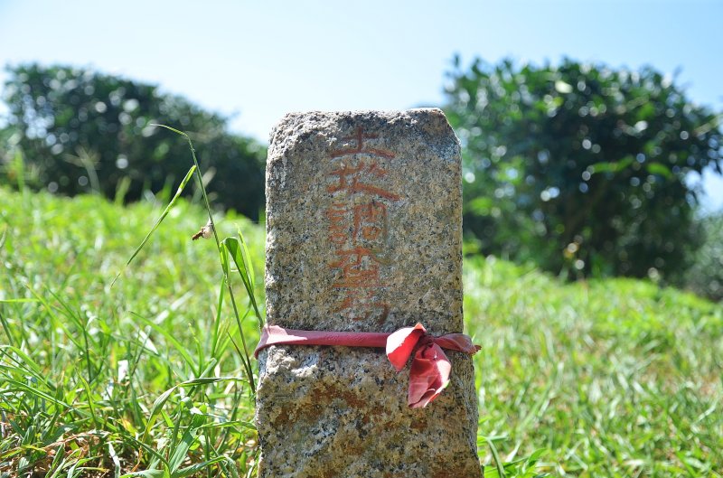 7bf370c28039785bee1874484281d00b.jpg