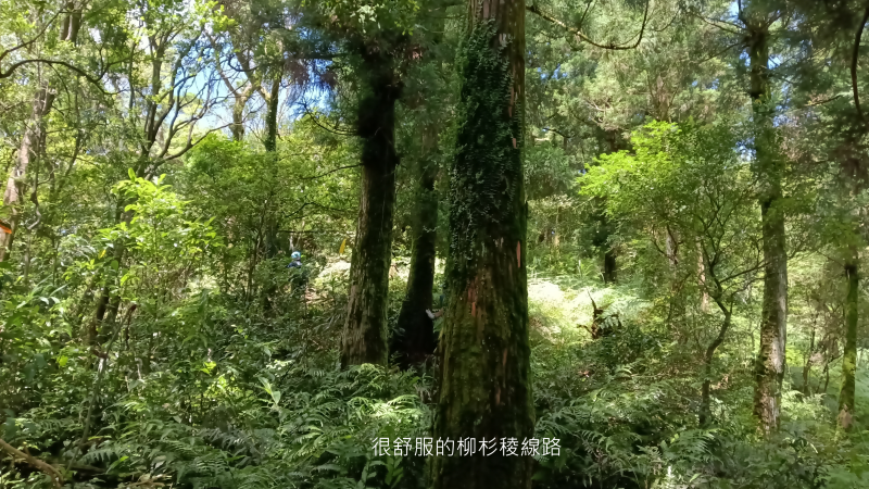 7c30c3413b458550cf644d26c59233c5.png