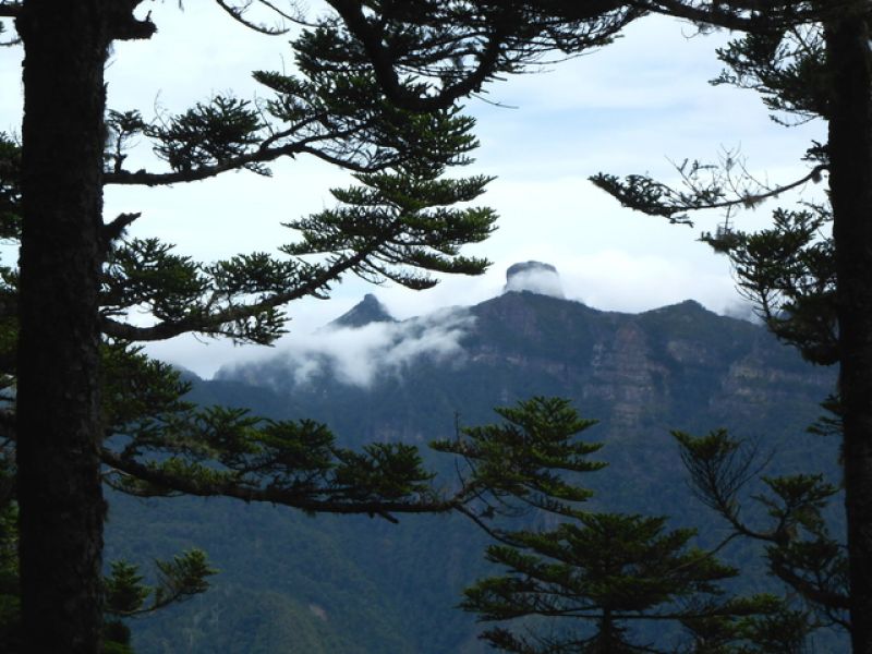 DSCN4704.JPG - 台中和平武陵四秀之二秀(DAY-2 桃山、詩崙山、喀拉業山)