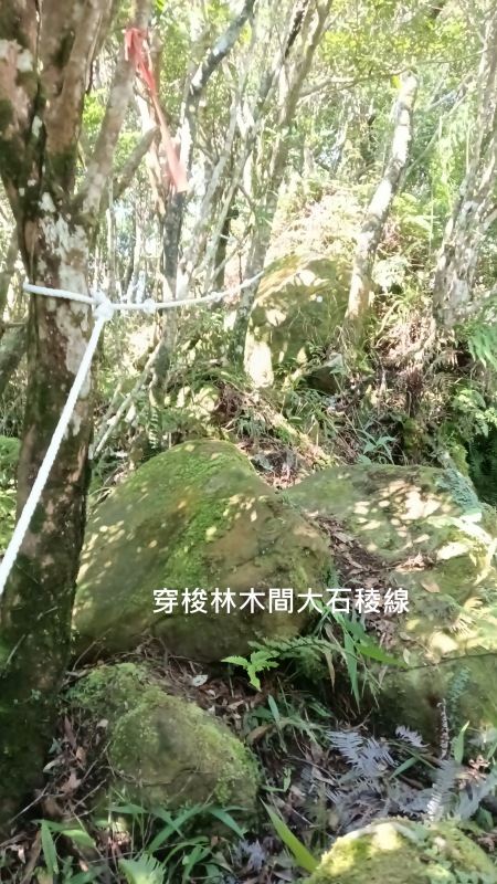 7c5f7a02299badbb77ef8533eaff6e8e.png