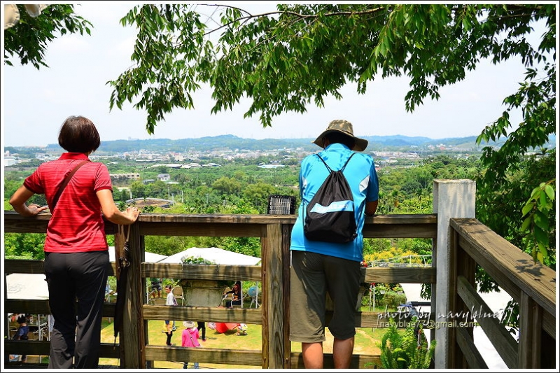 圓仔林幸福山丘油桐花33.JPG