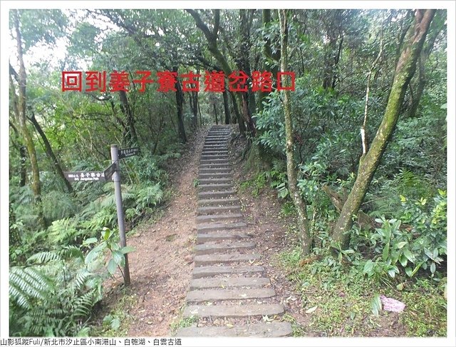 姜子寮山步道 (58).JPG - 姜子寮山步道櫻花