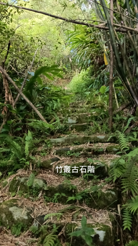 7d0b76422160b2966ef80aab3f887299.png