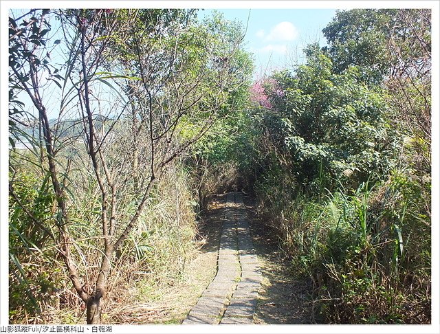 橫科山白匏湖 (71).JPG - 橫科山、白匏湖