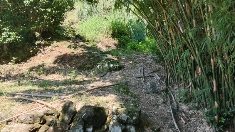 7d6e6b234de0510283d174a4116563e0.png
