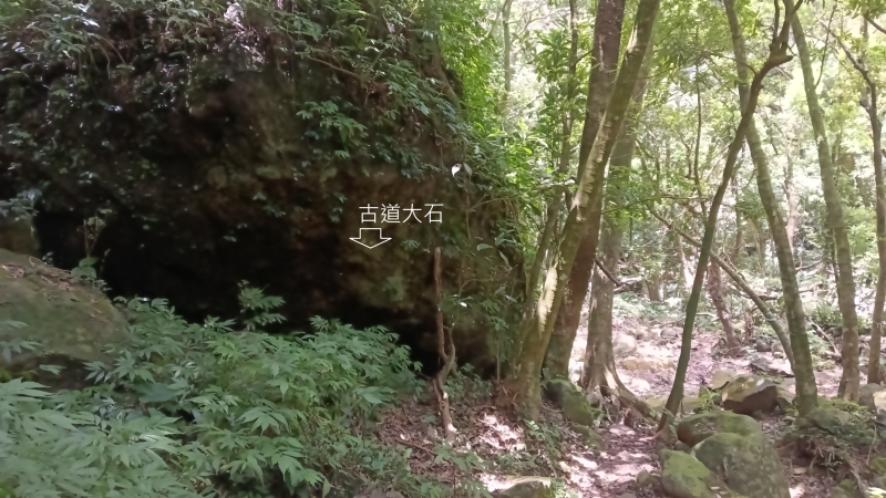 7d939ede098411ab4820eb36f5e65c08.png
