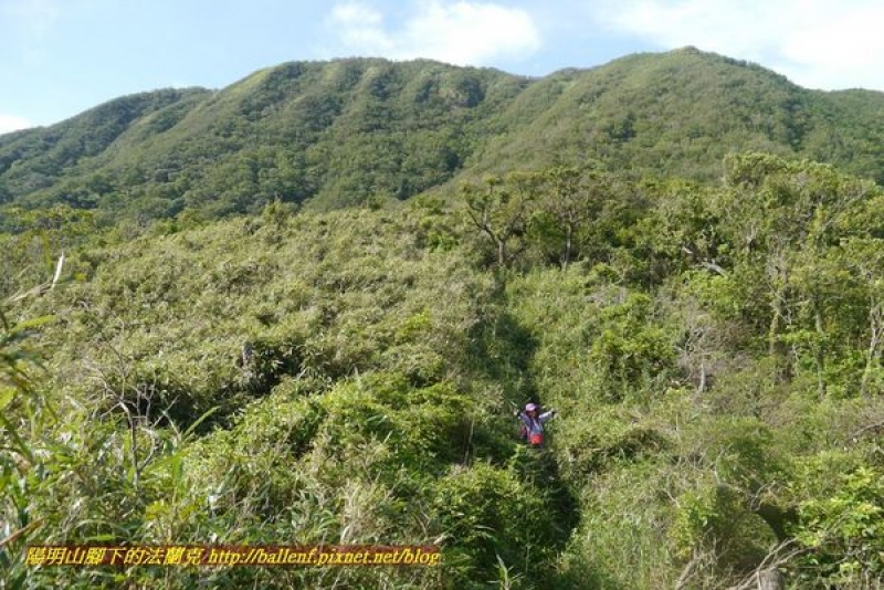 P2020032.jpg P2020032.jpg