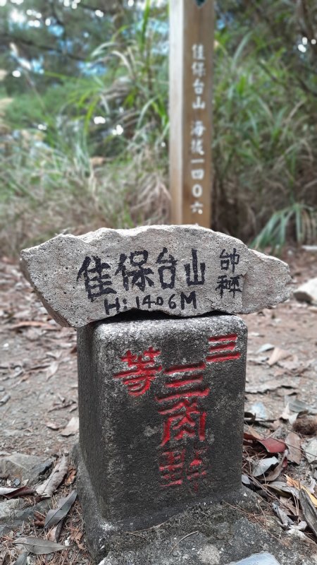 《台中》谷關三雌｜佳保台山