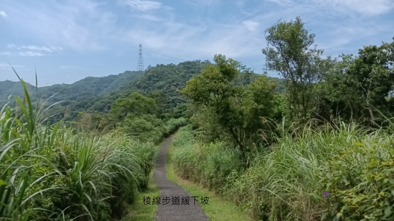 7e8c1e0849f5e24b8b97d95f94f78faa.png