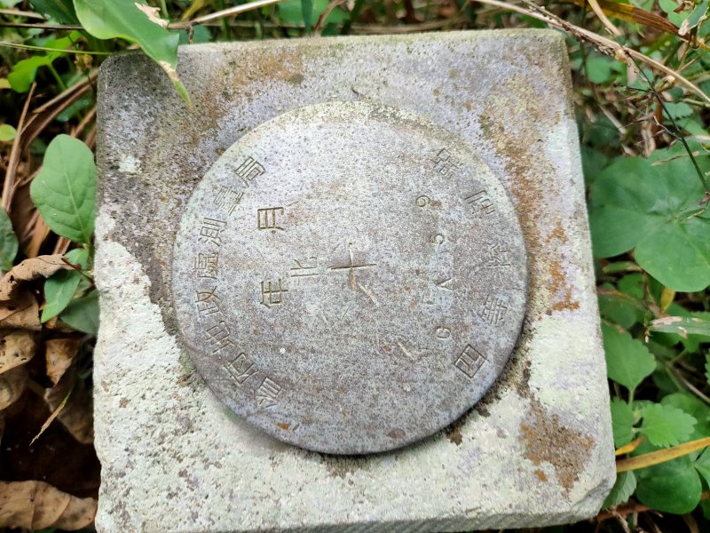 8033d5dacde363ac8767fc4794fd5fa6.jpg