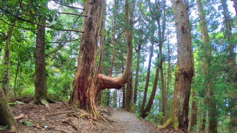 80541b58323ecb4cd82c57b9e4c91687.jpg