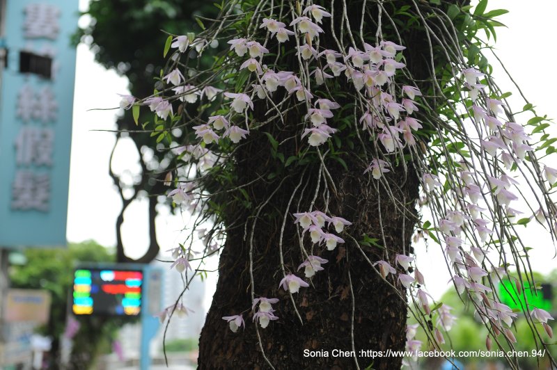 811b6d4c65b009be470dd86b0bb7b138.jpg