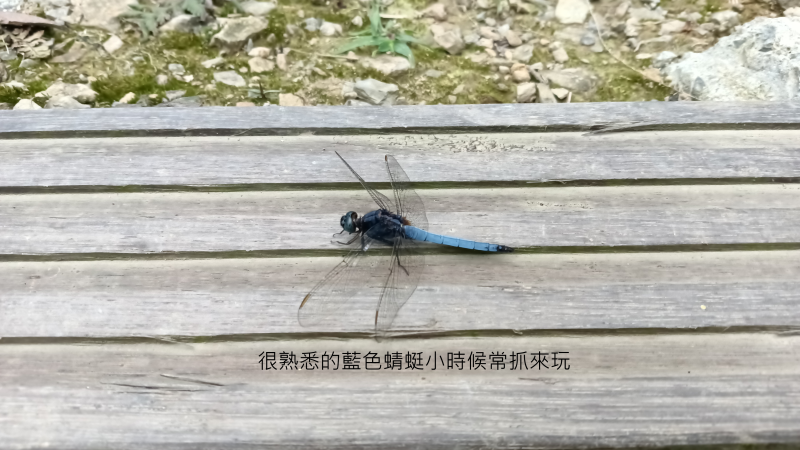 812543ea4f1aa39dcbb6ee20ead44366.png