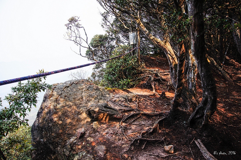 杜鵑嶺觀景台