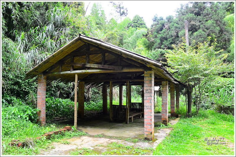 石壁木馬古道-五元二角-雲嶺之丘