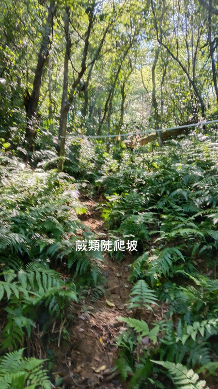 81e7439a99b1d896dee0a309d24450eb.png